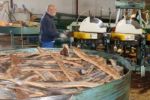 Sao Bras De Alportel, Algarve/portugal - March 9 : Cork Factory Stock Photo