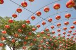 Chinese Paper Lantern Stock Photo