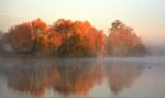 Misty Lake Stock Photo