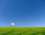 Golf Ball On Green Grass Stock Photo