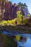 Reflection In The Virgin River Stock Photo