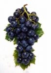 Grapes Stock Photo