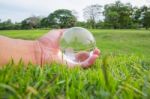 Glass Globe Stock Photo