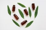 Eucalyptus Oil Bottle With  Leaves On White Background Stock Photo