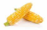 Corn Isolated On A White Background Stock Photo