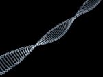 Model Of Twisted Chrome Dna Chain Stock Photo