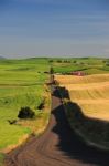 Local Farm Stock Photo