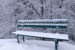 Snowy Bench Stock Photo