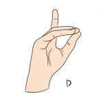 Sign Language And The Alphabet,the Letter D Stock Photo