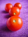 Cherry Tomatoes Stock Photo