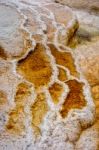 View Of Mammoth Hot Springs Stock Photo