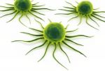 Cancer Cell Stock Photo