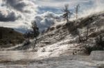 Mammoth Hot Springs Stock Photo