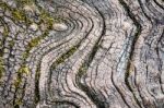 Texture Of Old Wood Stock Photo