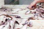 Raw Fish At Fish Shop Stock Photo