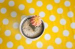 Cactus In Pot On Yellow Dot Table Stock Photo