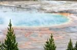 View Of The Grand Prismatic Spring In Yellowstone Stock Photo