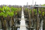 The Walkway Is Made Of Concrete Slabs Stock Photo