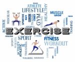 Exercise Fitness Means Physical Activity And Athletic Stock Photo