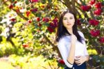 Young Beautiful Woman With Long Straight Dark Hair Posing In Spr Stock Photo