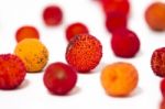 Strawberry Tree (arbutus Unedo) Fruit Stock Photo