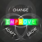 Words Displays Improve By Change Adapt And Grow Stock Photo