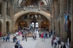 People Exploring  The National History Museum In London Stock Photo