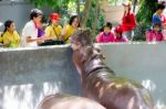 Primary Students Visit The Zoo, In The Jul 27, 2016. Bangkok Thailand Stock Photo