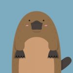 Cute Big Fat Platypus Stock Photo