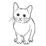 Freehand Sketch Illustration Of Little Cat Stock Photo