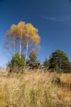 Autumn  Colors Stock Photo