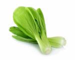 Bok Choy Vegetable Isolated On The White Background Stock Photo