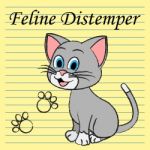 Feline Distemper Represents Domestic Cat And Cats Stock Photo