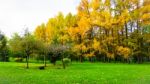 Autumn Season In Russia Moscow Stock Photo