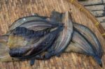 Sun Dried Fish In The Market Stock Photo