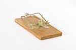 Mousetrap Stock Photo