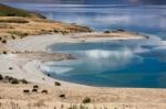 Cattle Grazing On The Banks Of Lake Hawea Stock Photo