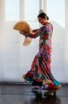 Calahonda, Andalucia/spain - July 3 : Flamenco Dancing At Calaho Stock Photo