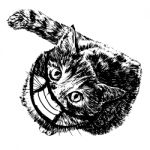 Illustration Of Cat With Mask Hand Drawn Stock Photo