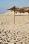 Beach Scene With Coconuts Area Stock Photo