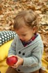 Boy  With Apple In Park Stock Photo