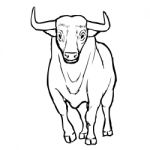 Freehand Sketch Illustration Of Bul Stock Photo