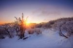 Sunrise On Deogyusan Mountains Covered With Snow In Winter,south Korea Stock Photo