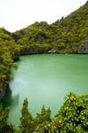 Coastline Of A Green Lagoon    Bay Stock Photo