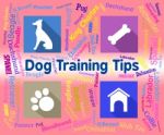 Dog Training Tips Means Coaching Instruction And Pets Stock Photo