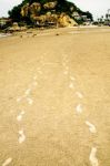 The Footprint Of People On The Sand Beach Stock Photo