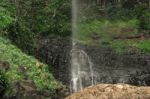 Purlingbrook Falls In Springbrook Stock Photo