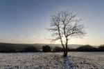 Winter Landscape Stock Photo