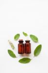 Holy Basil Essential Oil With  Fresh Leaves Stock Photo