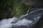 Morans Falls In Tamborine Mountains Stock Photo